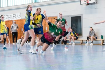 Bild 255 - F HSG Kremperheide/Muensterdorf - HSG HerKollNeu : Ergebnis: 43:29